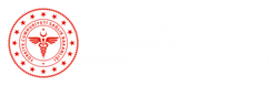 Sarayatik 1 Nolu ASM